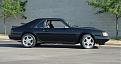 Click image for larger version

Name:	my86wcobra02b.jpg
Views:	1826
Size:	42.3 KB
ID:	167684