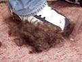 Click image for larger version

Name:	hair.jpg
Views:	118
Size:	34.2 KB
ID:	167918