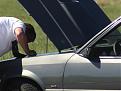 Click image for larger version

Name:	IMG_4548 (Medium).JPG
Views:	114
Size:	43.4 KB
ID:	173893