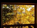 Click image for larger version

Name:	Aspen.JPG
Views:	114
Size:	183.5 KB
ID:	174025
