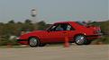 Click image for larger version

Name:	IMG_4444 (Medium).JPG
Views:	129
Size:	28.6 KB
ID:	185578