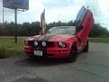 05 Mustang